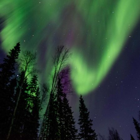 Riverside Log Cabin On-Site Aurora Viewing! North Pole 외부 사진