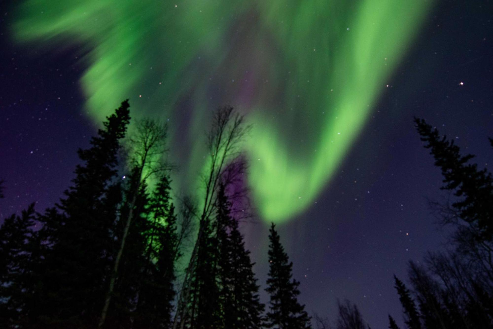 Riverside Log Cabin On-Site Aurora Viewing! North Pole 외부 사진