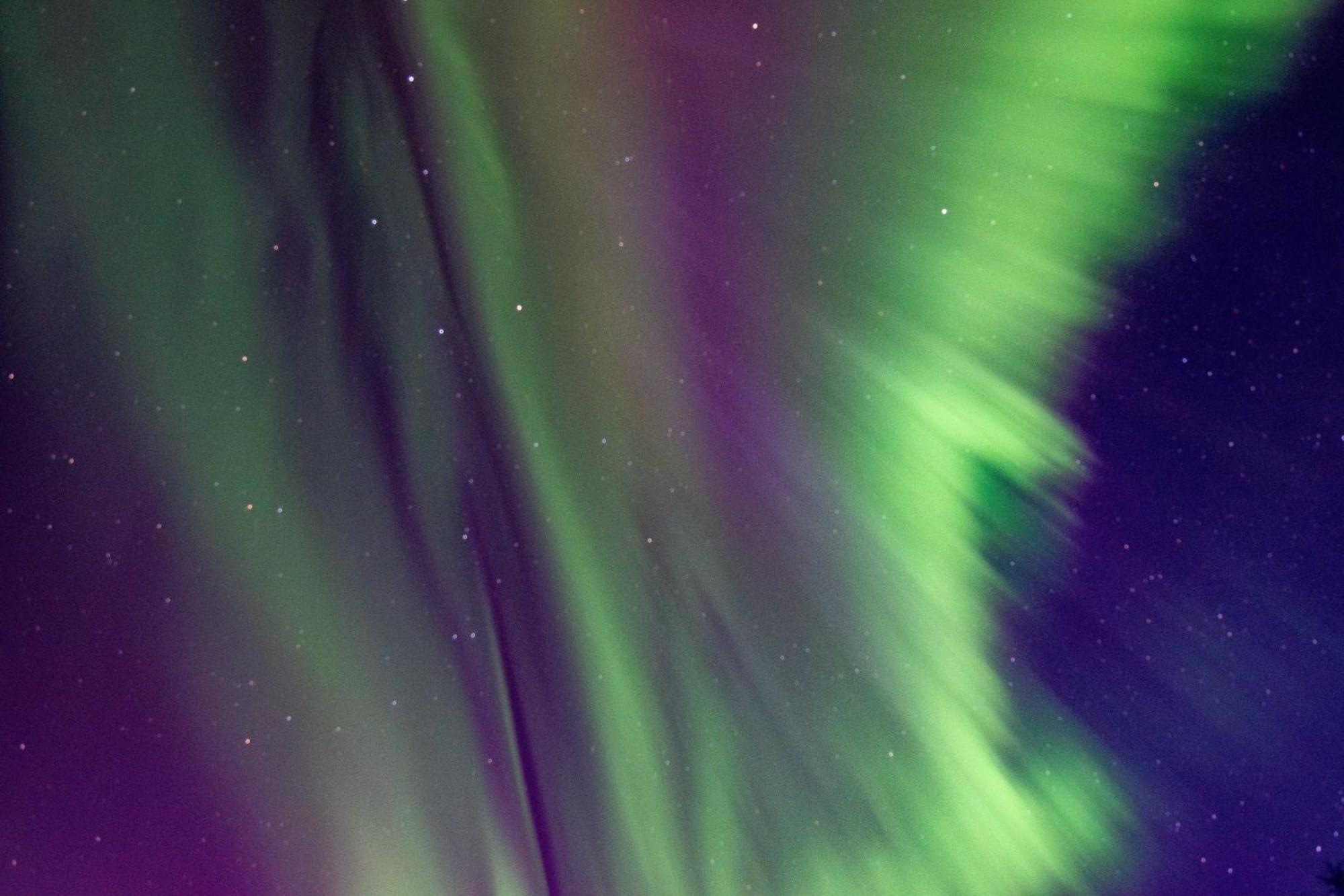 Riverside Log Cabin On-Site Aurora Viewing! North Pole 외부 사진